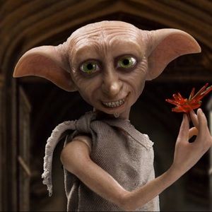 Meet your Posher, Karly